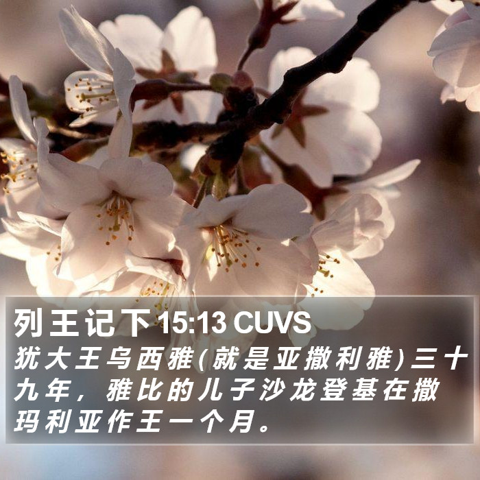 列 王 记 下 15:13 CUVS Bible Study