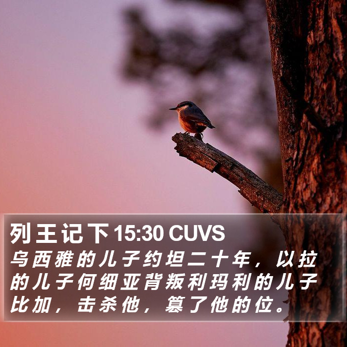 列 王 记 下 15:30 CUVS Bible Study