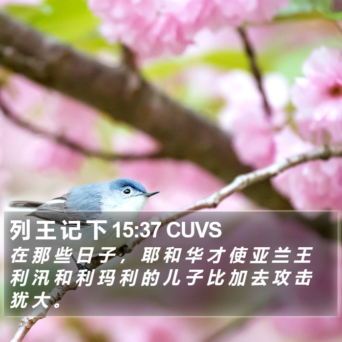 列 王 记 下 15:37 CUVS Bible Study