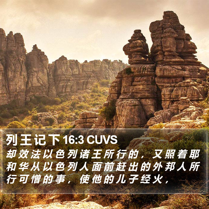 列 王 记 下 16:3 CUVS Bible Study