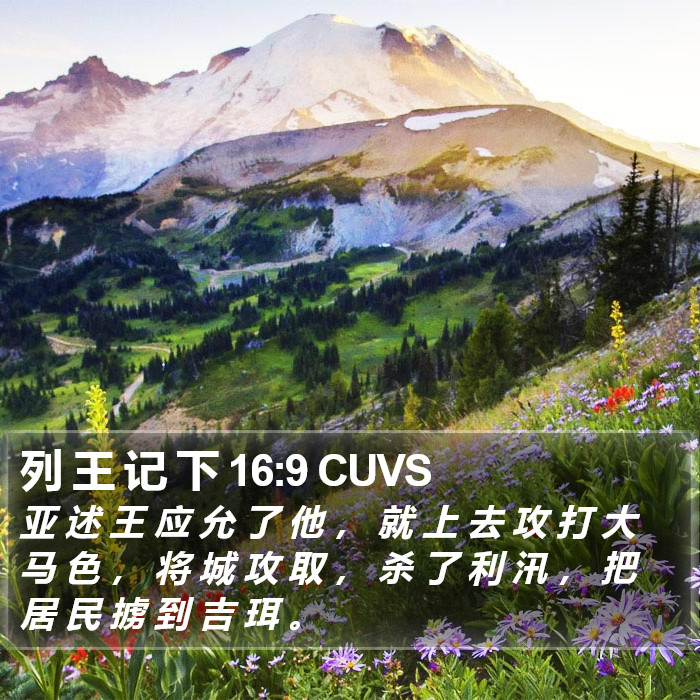 列 王 记 下 16:9 CUVS Bible Study