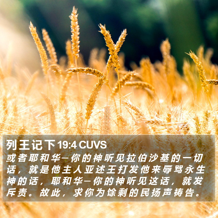 列 王 记 下 19:4 CUVS Bible Study