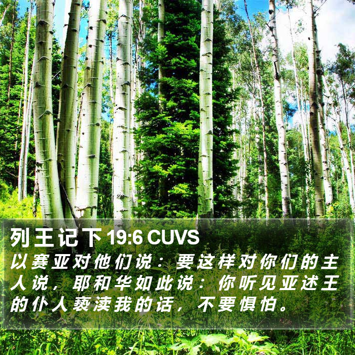 列 王 记 下 19:6 CUVS Bible Study