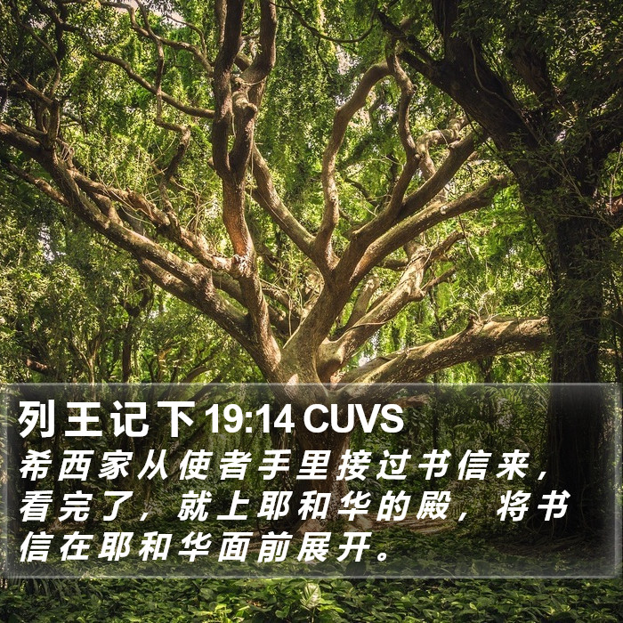 列 王 记 下 19:14 CUVS Bible Study