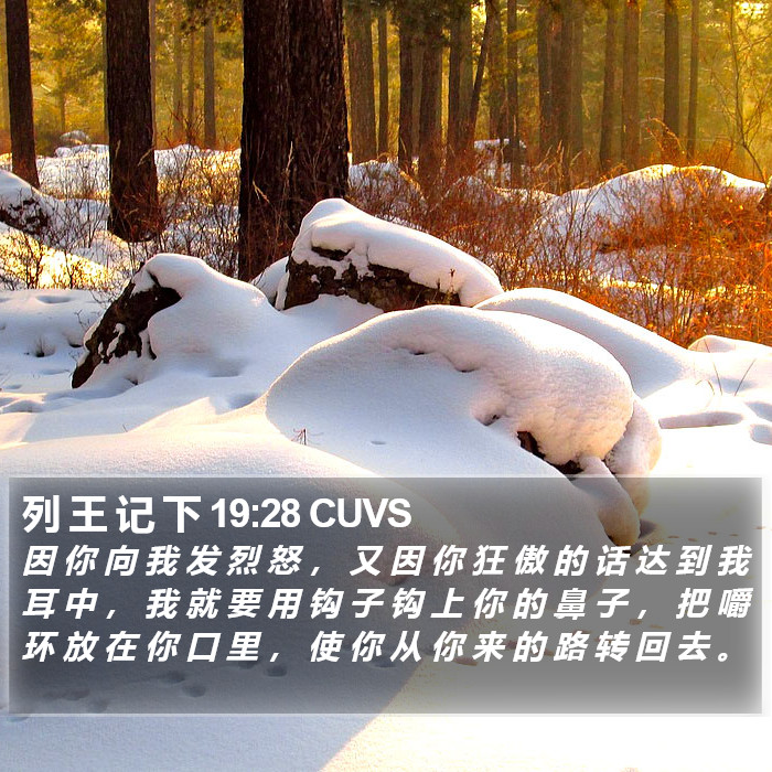 列 王 记 下 19:28 CUVS Bible Study