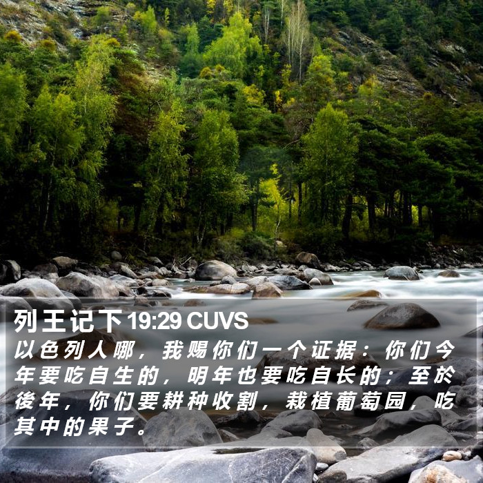 列 王 记 下 19:29 CUVS Bible Study