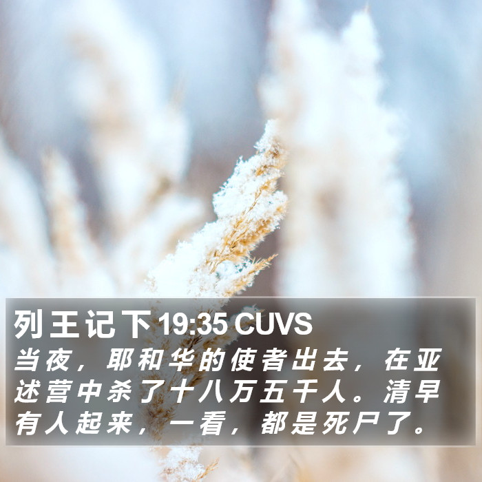 列 王 记 下 19:35 CUVS Bible Study