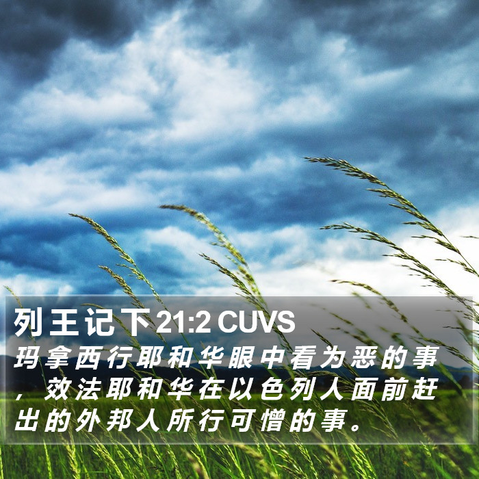 列 王 记 下 21:2 CUVS Bible Study