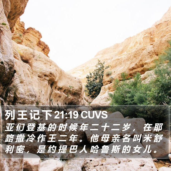 列 王 记 下 21:19 CUVS Bible Study