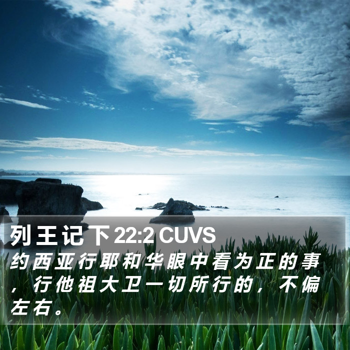 列 王 记 下 22:2 CUVS Bible Study