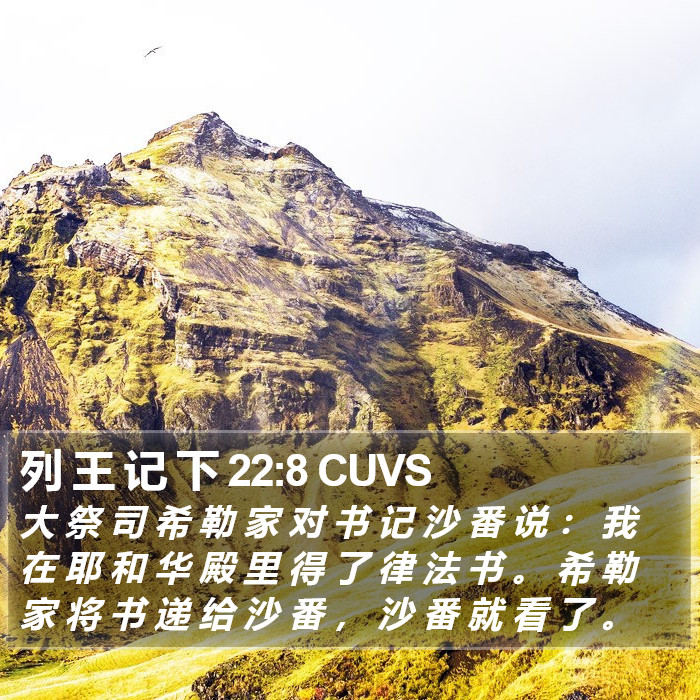 列 王 记 下 22:8 CUVS Bible Study