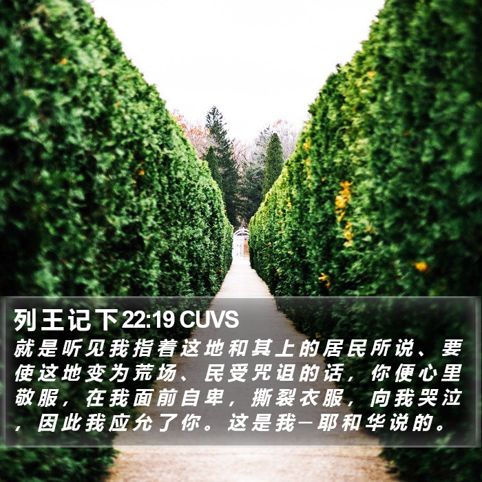 列 王 记 下 22:19 CUVS Bible Study