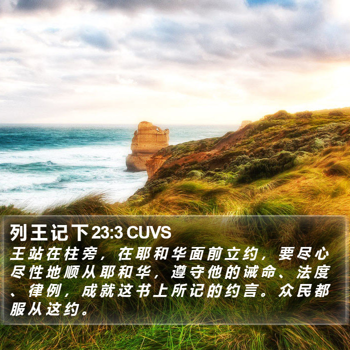 列 王 记 下 23:3 CUVS Bible Study