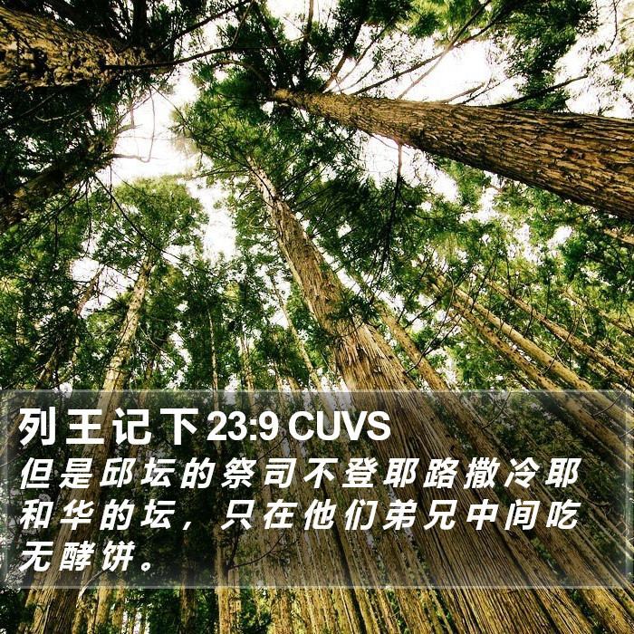 列 王 记 下 23:9 CUVS Bible Study