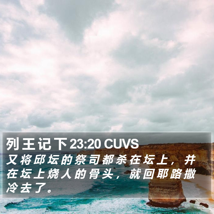 列 王 记 下 23:20 CUVS Bible Study