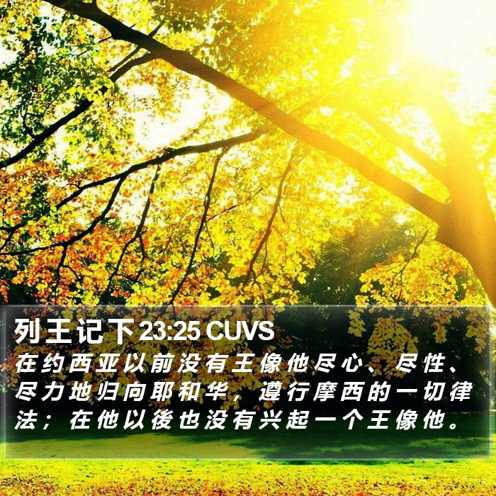列 王 记 下 23:25 CUVS Bible Study