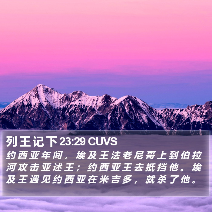 列 王 记 下 23:29 CUVS Bible Study