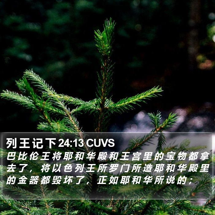 列 王 记 下 24:13 CUVS Bible Study