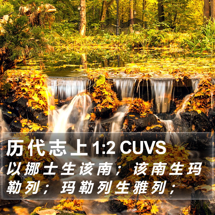 历 代 志 上 1:2 CUVS Bible Study