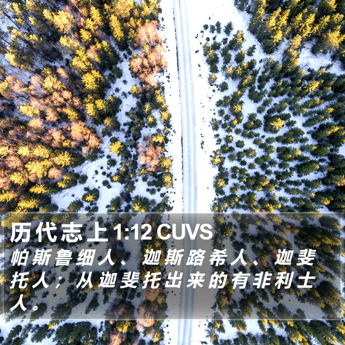 历 代 志 上 1:12 CUVS Bible Study