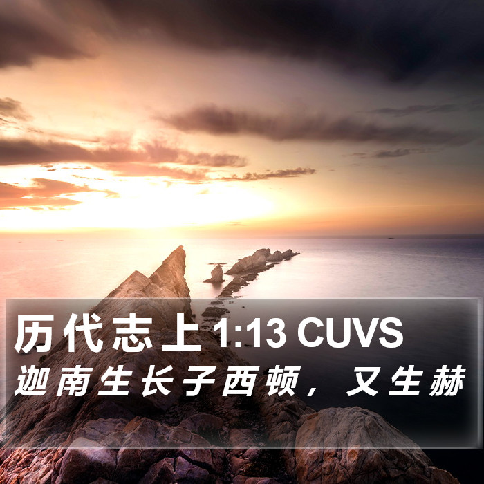 历 代 志 上 1:13 CUVS Bible Study