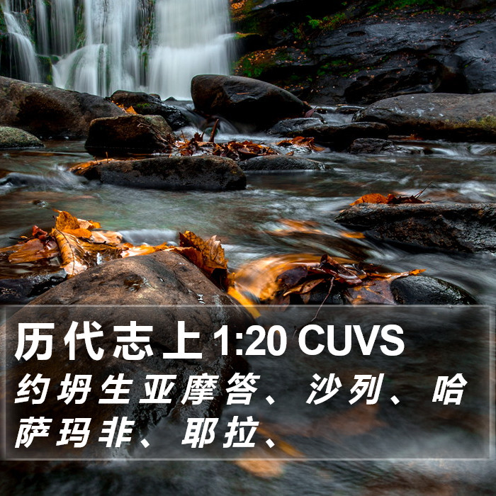 历 代 志 上 1:20 CUVS Bible Study