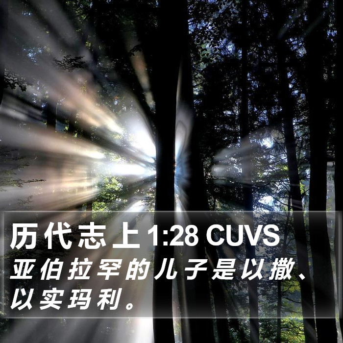 历 代 志 上 1:28 CUVS Bible Study