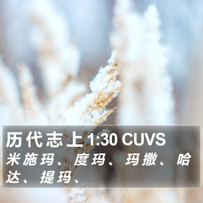 历 代 志 上 1:30 CUVS Bible Study