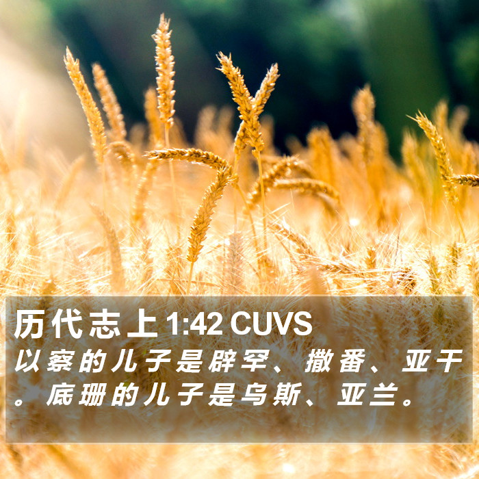 历 代 志 上 1:42 CUVS Bible Study