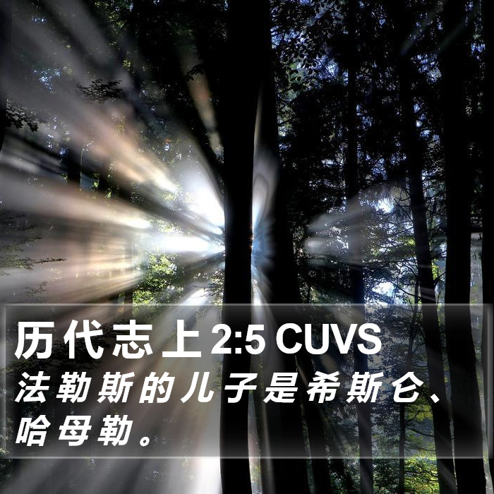 历 代 志 上 2:5 CUVS Bible Study