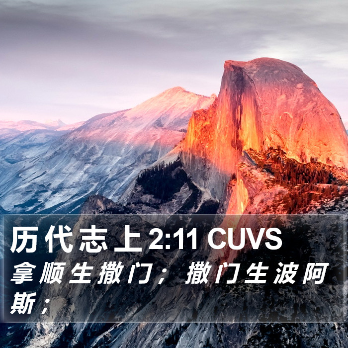 历 代 志 上 2:11 CUVS Bible Study