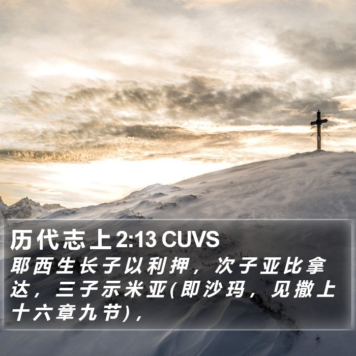 历 代 志 上 2:13 CUVS Bible Study