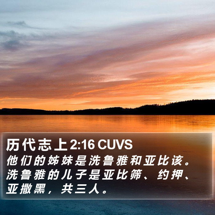 历 代 志 上 2:16 CUVS Bible Study