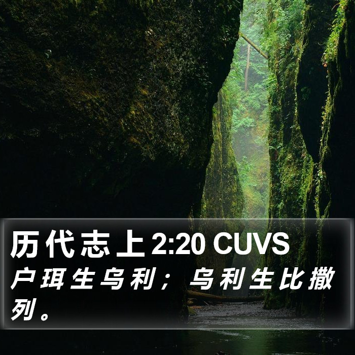 历 代 志 上 2:20 CUVS Bible Study