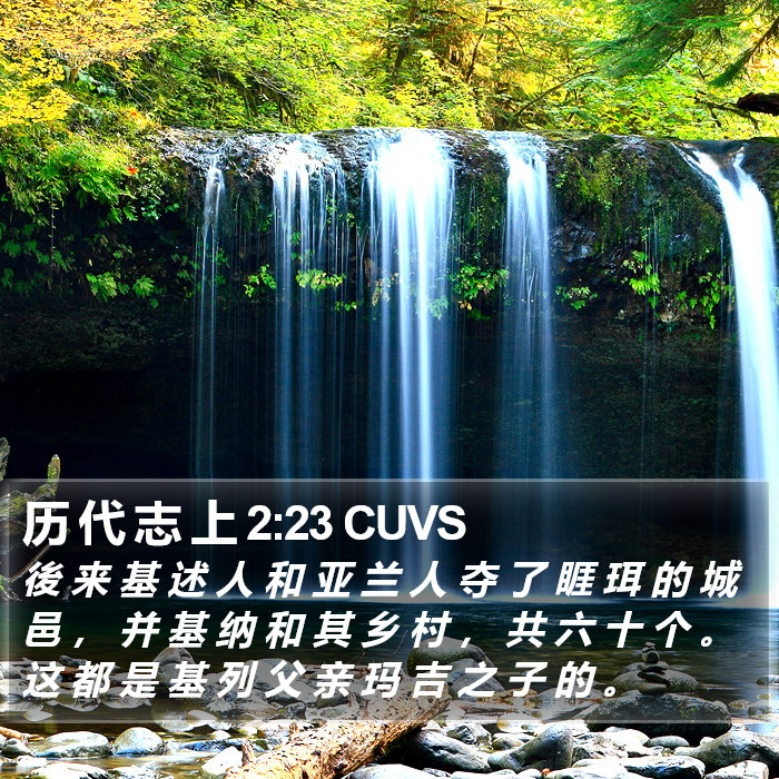 历 代 志 上 2:23 CUVS Bible Study