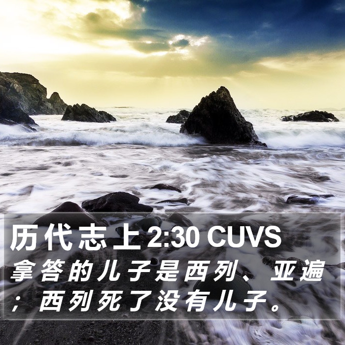 历 代 志 上 2:30 CUVS Bible Study