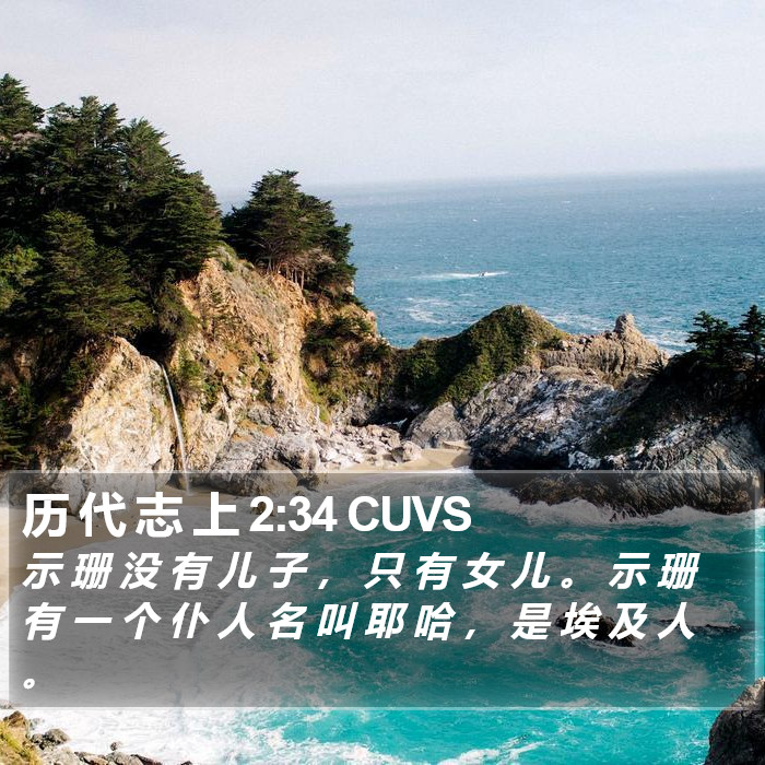 历 代 志 上 2:34 CUVS Bible Study