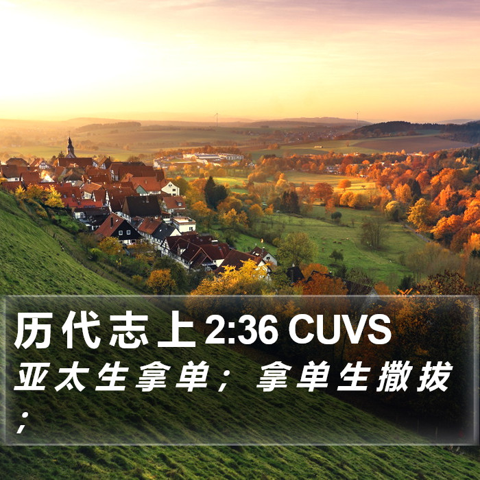 历 代 志 上 2:36 CUVS Bible Study
