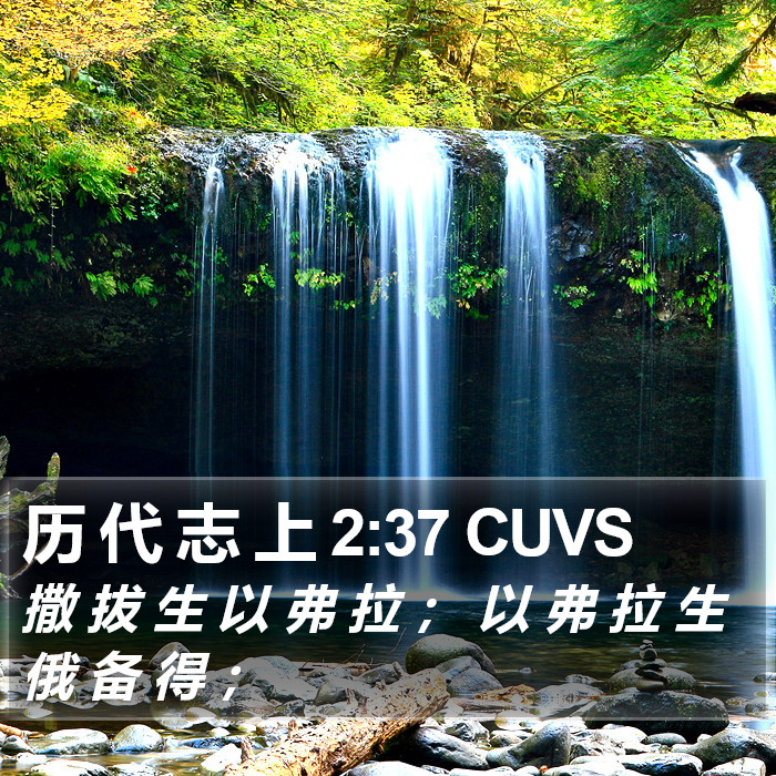 历 代 志 上 2:37 CUVS Bible Study