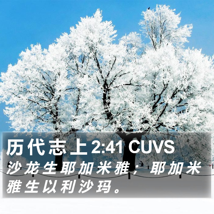 历 代 志 上 2:41 CUVS Bible Study