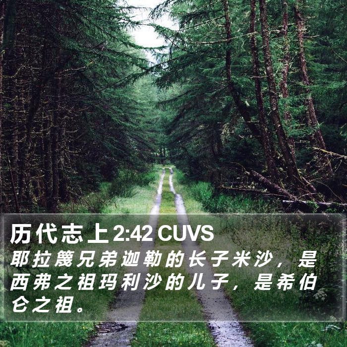 历 代 志 上 2:42 CUVS Bible Study