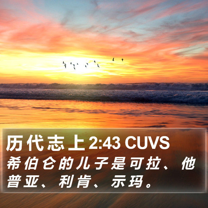 历 代 志 上 2:43 CUVS Bible Study