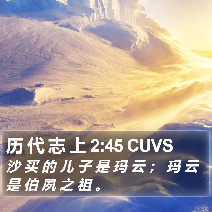 历 代 志 上 2:45 CUVS Bible Study