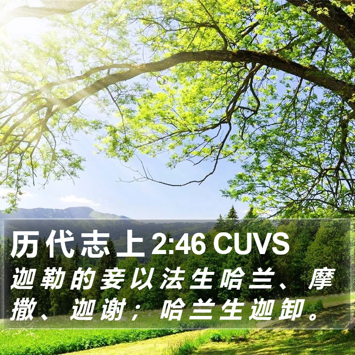 历 代 志 上 2:46 CUVS Bible Study