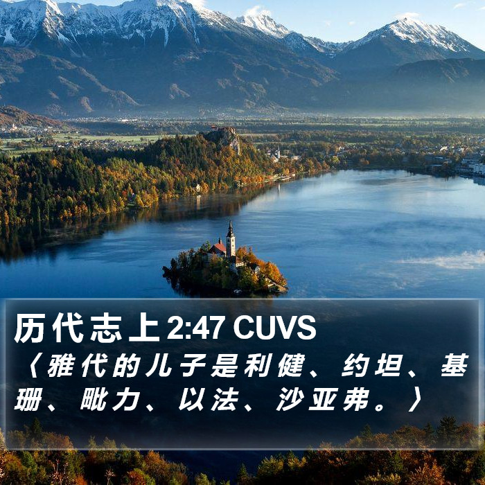 历 代 志 上 2:47 CUVS Bible Study