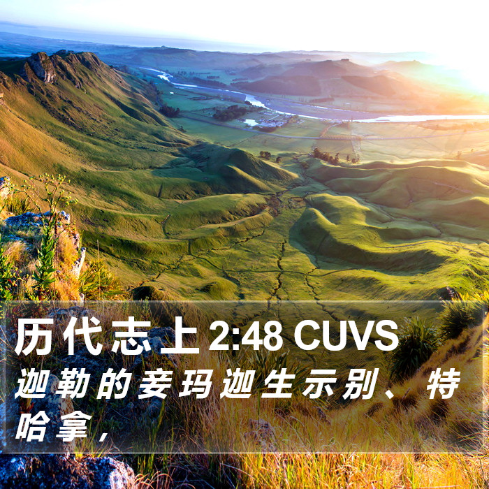 历 代 志 上 2:48 CUVS Bible Study