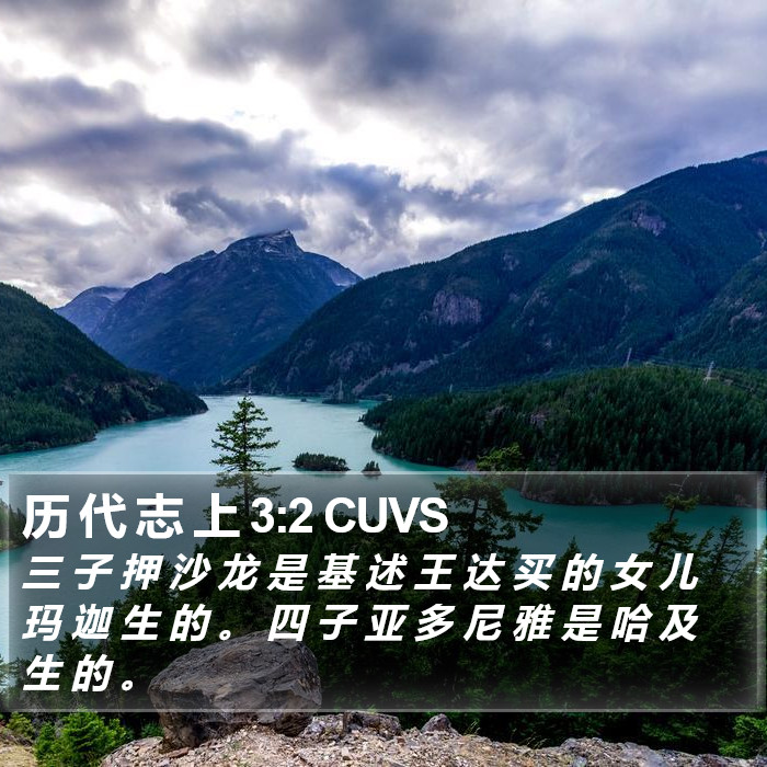 历 代 志 上 3:2 CUVS Bible Study