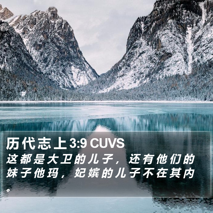 历 代 志 上 3:9 CUVS Bible Study