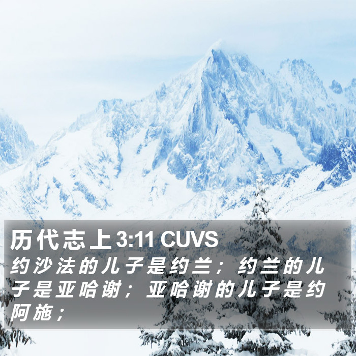 历 代 志 上 3:11 CUVS Bible Study