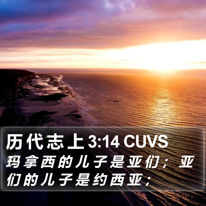 历 代 志 上 3:14 CUVS Bible Study